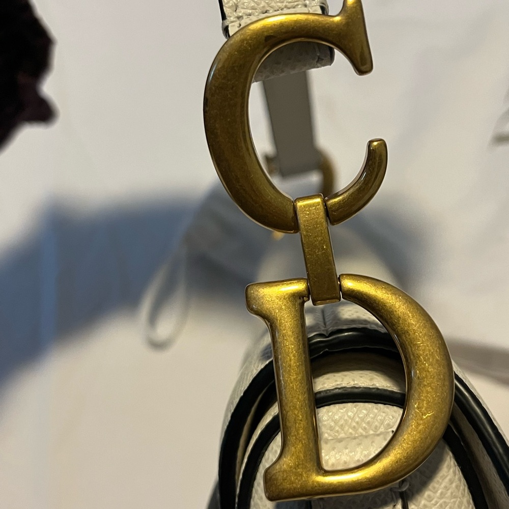Christian Dior saddle mini